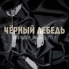 Чёрный лебедь (feat. Tonydex & ᗫᗰナ) (Explicit) - Vova Voice&TonyDex&ᗫᗰナ