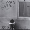 Recovering Failure - Zico