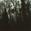 Wind Fool - Grow&Twine