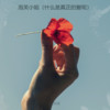 泡芙小姐 (什么是真正的爱呢) - 乐火火
