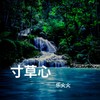 寸草心 - 乐火火