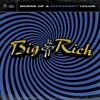 Save a Horse (Ride a Cowboy) - Big & Rich