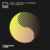 Yang (Original Mix) - Paul Thomas&Fuenka