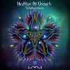 Lumination - Hedflux&Grouch