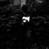 Shadows On The East Side (feat. JFetti) (Explicit) - Yung Gho$t&Jfetti