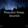 雨声 - Deep Sleep&Sleep Sound Library&BodyHI