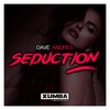 Seduction (Dub Mix) - Dave Andres
