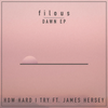 How Hard I Try - filous&James Hersey