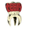 teeth - Lizette