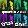 Spring Coming (Touch The Sound Remix) - DJ Aristocrat&Brioli