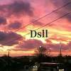 我是不会放弃和爱的人在夜晚散步的 - Dsll