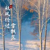 秋风经过雪飘落（执念版） - 张逸博