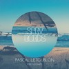 Friendships (Original Mix) - Pascal Letoublon