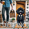 Doly (Nossa Cachorrinha) - Delfino