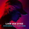 Screaming out Your Name - Liam Van Dyke