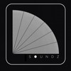 Jazz Hustle (Abe Duque Dub) - Abe Duque&Brauns & Wagner