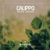 Off the Scent (Original Mix) - Calippo