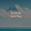 Sacred Play Secret Place (你永远是我最耀眼的那束光) - OOG