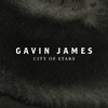 City of Stars - Gavin James
