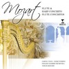 I. Allegro - Samuel Coles&Naoko Yoshino&English Chamber Orchestra&Yehudi Menuhin