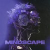 Mindscape - K-391&Sielo&Nick Strand