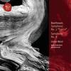 IV. Allegro vivace - Gunter Wand&NDR Symphony Orchestra&Ludwig van Beethoven