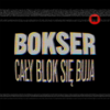 CAŁY BLOK SIĘ BUJA (Explicit) - BoKseR&MajKi