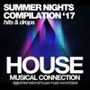 Summer Day (Original Mix) - Adriana Johnson