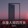 你是人间四月天 - Skyline
