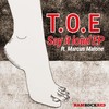 Say It Loud (North Street West Vocal Remix) - T.O.E&Marcus Malone&Ashley Beedle&Darren Morris&Jo Wallace