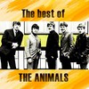 Talkin' Bout You - The Animals