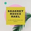 Tá Pra Nascer Quem Não Gosta - Seakret&RICCI&Rael