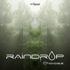Sacred Moments (Original Mix) - Raindrop