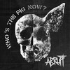 Who's the Pig Now? (Explicit) - Abrupt