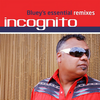 Don't Turn My Love (Venom And Bluey Street Soul Mix - Radio Edit) - Incognito