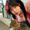 英雄泪 (抖音完整原版) - 玲爷&圈妹&小奶瓶&DJ YiXiu