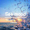 See mood (Radio Edit) - Caruda mu&Dalhuke