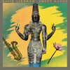 Within You Without You - David Liebman