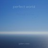 Perfect World (Single Version) - Galen Crew