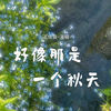 好像那是一个秋天 - 王佳音