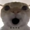 曼波战歌（猛攻！！！） - 秃头少女