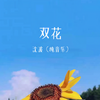 双花  (古筝版) - 沈波