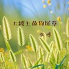 土坡上的狗尾巴草（民谣版） - 张逸博