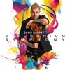 Señorita (David Garrett Edition) - David Garrett