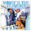 Whüt up Dogg! - Lords of the Underground&Endo