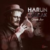 Gitme Seviyorum - Harun Kolçak&Tan Tasçi