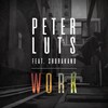 Work (Extended Club Mix) - Peter Luts&Shurakano