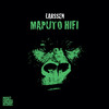 Fittipaldi - Larssen