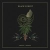 Back From the Black Forest (Original Mix) - Landhouse&Raddantze