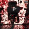 No Picks (Explicit) - Tony2x&Trapflava lp